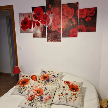 Bed & Breakfast D'hotes A Petre Entrevennes